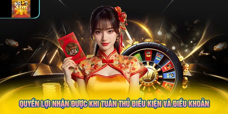 Quyền lợi nhận được khi tuân thủ điều kiện và điều khoản