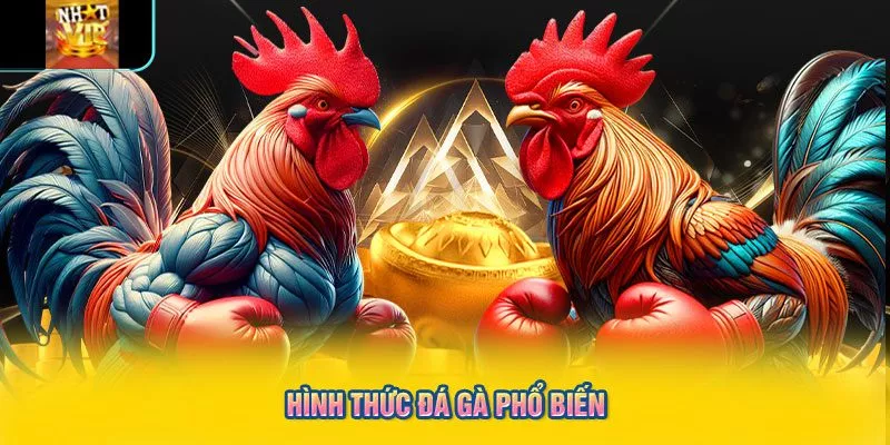 Hình thức đá gà phổ biến